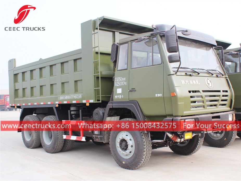 6x4 Kipper LKW SHACMAN