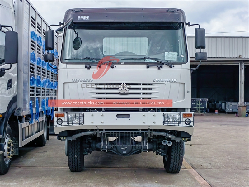 SINOTRUK 10CBM Skip Loader truck to Africa