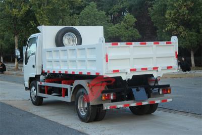 Isuzu NKR small dumper with 3 Ton capacity