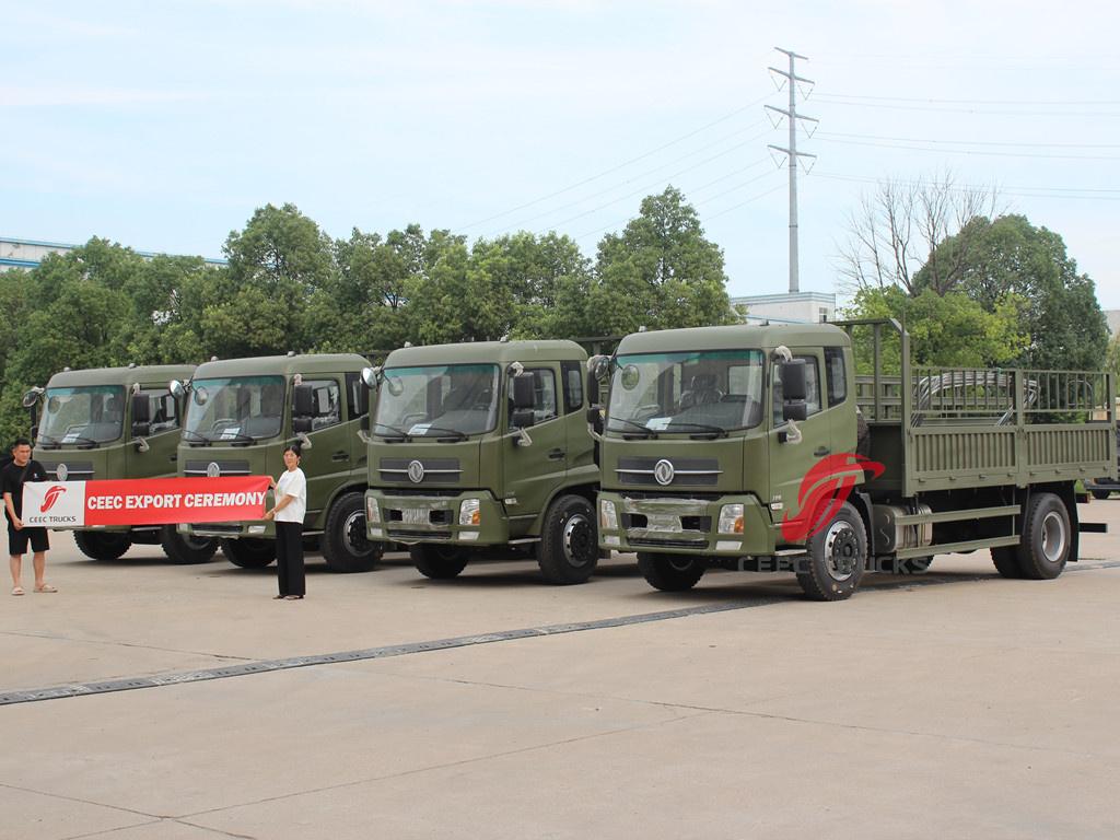 Nigeria-Kunde kauft 4 Einheiten DONGFENG Tianjin Personenfracht-LKW